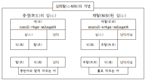 심해탈의 개념.png