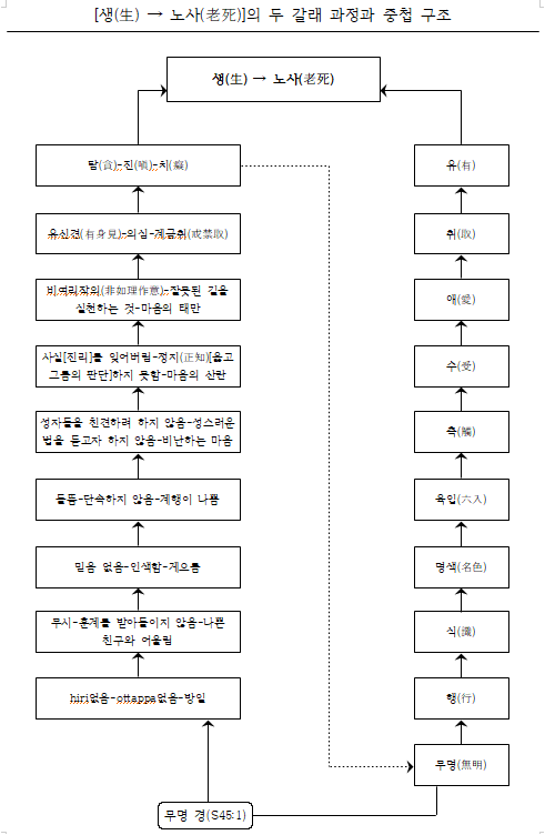 생-노사의 두 갈래 과정과 중첩 구조.png