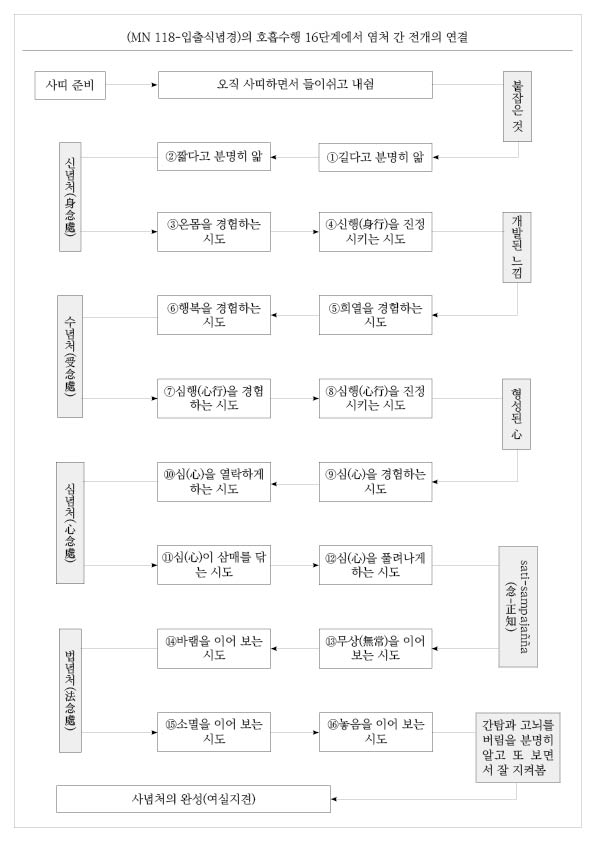 (MN 118-입출식념경)의 호흡수행 16단계에서 염처 간의 연결된 전개.jpg